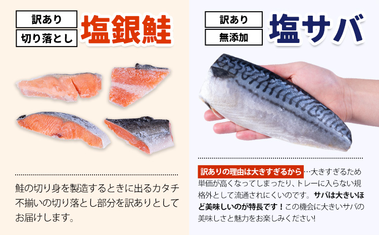 訳あり 人気アイテム 詰め合わせ 塩銀鮭 切り落とし 1.5kg + 塩サバ 1kg 合計 約 2.5kg 株式会社西川 《30日以内に出荷予定(土日祝除く)》千葉県 勝浦市 塩銀鮭 塩サバ 魚 切り落とし 冷凍 訳あり 手作り 惣菜【配送不可地域：離島】---kastuura_nsk_7---