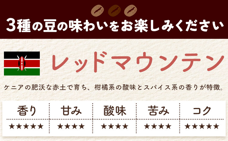 自家焙煎スペシャルティ 珈琲 ドリップバッグ 3種 セット 1箱:ドリップバッグ5個入り AyaHaruCoffee《90日以内に出荷予定(土日祝除く)》千葉県 勝浦市 自家焙煎 珈琲 ドリップバッグ 飲み比べ レッドマウンテン シャンリー ンゴロンゴロ【配送不可地域：離島】---kastuura_ahc_1---