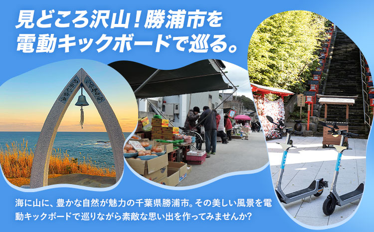 BIRD 電動キックボード 30時間 ライド 無料 ギフトコード 株式会社 Mobilco《90日以内に出荷予定(土日祝除く)》千葉県 勝浦市 電動キックボード 送料無料---kastuura_mobi_4---