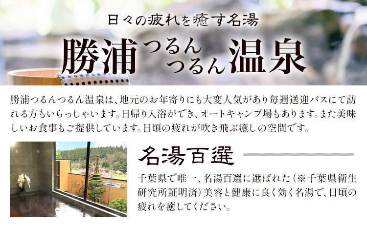 つるんつるんボディーソープ 950ml×1本 勝浦つるんつるん温泉《90日以内に出荷予定(土日祝除く)》千葉県 勝浦市 ボディーソープ お風呂 入浴 バスタイム 肌【配送不可地域あり】---kastuura_trn_1---