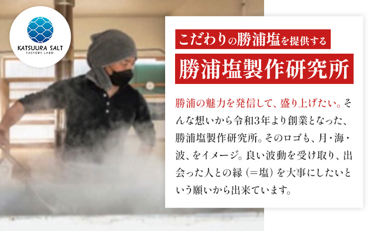 千葉県 勝浦市 満月の刻 45g と 新月の煌 45g  各10袋 セット 【配送不可地域あり】 《90日以内に出荷予定(土日祝除く)》 塩 勝浦塩 調味料---kastuura_sio_4---