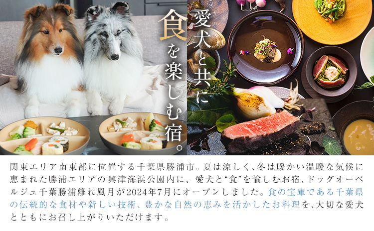 宿泊 離れ 風月 ドッグオーベルジュ 宿泊補助券 10万円分 《30日以内に出荷予定(土日祝除く)》離れ 風月 千葉県 勝浦市 ホテル お食事 犬 ワンちゃん わんちゃん ドッグラン ドッグフード ペット 旅行---kastuura_hgt_4---
