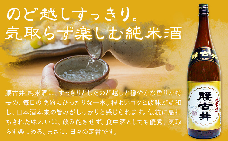 日本酒 腰古井 純米酒 1800ml 1.8L 1本 有限会社 滝口商店《30日以内に出荷予定(土日祝除く)》千葉県 勝浦市 日本酒 酒 純米---kastuura_tkg_10---