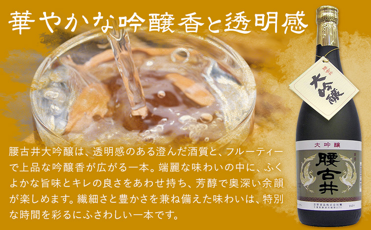 腰古井 大吟醸 1.8L 1本 有限会社 滝口商店《30日以内に出荷予定(土日祝除く)》千葉県 勝浦市 日本酒 酒 大吟醸---kastuura_tkg_14---