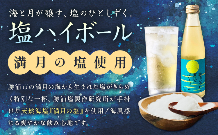 塩ハイボール 24本 勝浦の満月に夢見た塩ハイボール 《30日以内に出荷予定(土日祝除く)》 ノンアルコール アルコールフリー 天然海塩 満月の塩 千葉県 勝浦市 MAXIMUS.WORK 株式会社---kastuura_tbb_7---