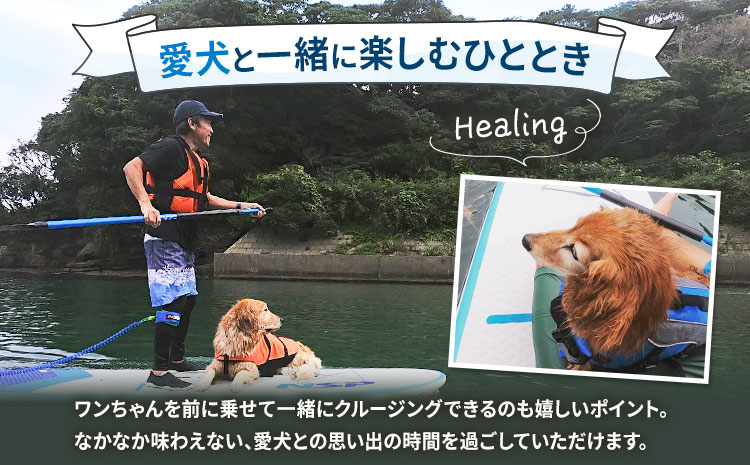 初心者向けSUP体験ツアー 1名様＋愛犬1匹 7-9月 GO4SURF《30日以内に出荷予定(土日祝除く)》千葉県 勝浦市 マリンアクティビティ体験 マリンスポーツ 海 SUP サップ 愛犬 わんちゃん 初心者向け 初心者 体験 6歳から可能---kastuura_g4s_4---