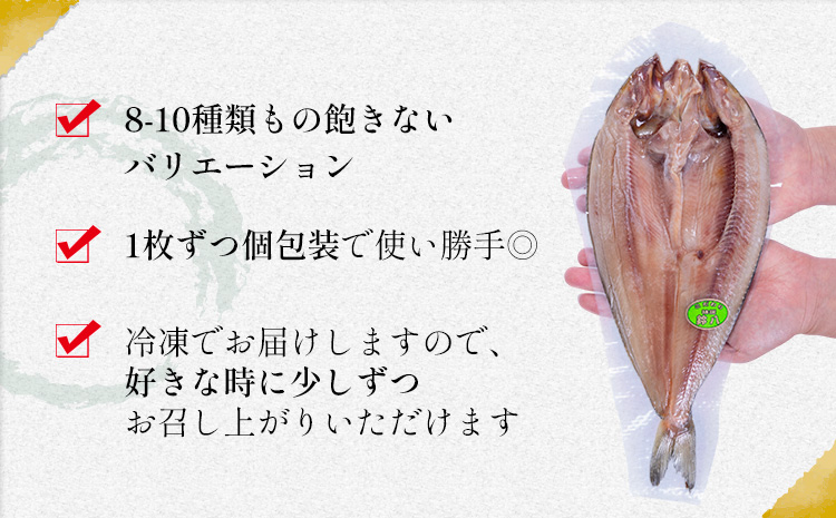 旬の特選干物セット 8-10種16枚 株式会社鈴八フーズ 《30日以内に出荷予定(土日祝除く)》【配送不可地域：離島】さんま アジ 小アジ 金目鯛 イカ カマス 赤魚 さば エボ鯛 鯛 カレイ ホッケ---kastuura_szh_4---