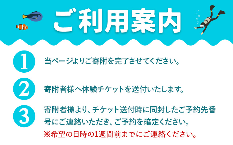 体験ダイビングチケット 勝浦ダイビング協会《90日以内に出荷予定(土日祝除く)》体験 ダイビング チケット  アウトドア アクティビティ 海 千葉県 勝浦市---kastuura_divn_1---