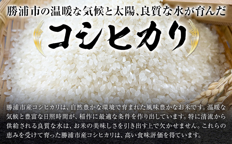 勝浦産 コシヒカリ (真空パック) 300g × 12個 と 勝浦タンタンメン 生3人前 × 2セット 御門商店 (有限会社 岩瀬竹次郎商店) 【配送不可地域あり】 《90日以内に出荷予定(土日祝除く)》千葉県 勝浦市 米 こしひかり タンタンメン 担々麺---kastuura_iws_1---