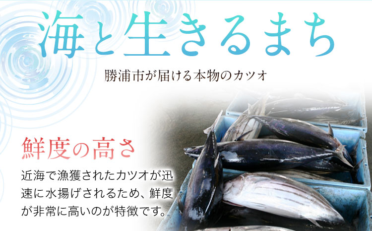 勝浦市産 カツオの握り寿司 8貫（4貫×2パック）《30日以内に出荷予定(土日祝除く)》千葉県 勝浦市 海産物 カツオ 鰹 寿司 すし 魚 海鮮---kastuura_cpfd_3---