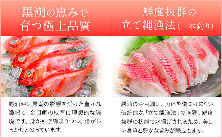 勝浦市産 釣り金目鯛 しゃぶしゃぶセット 約400g （4～5人前）《30日以内に出荷予定(土日祝除く)》千葉県 勝浦市 海産物 鯛 タイ 鍋 しゃぶしゃぶ 魚 海鮮---kastuura_cpfd_1---