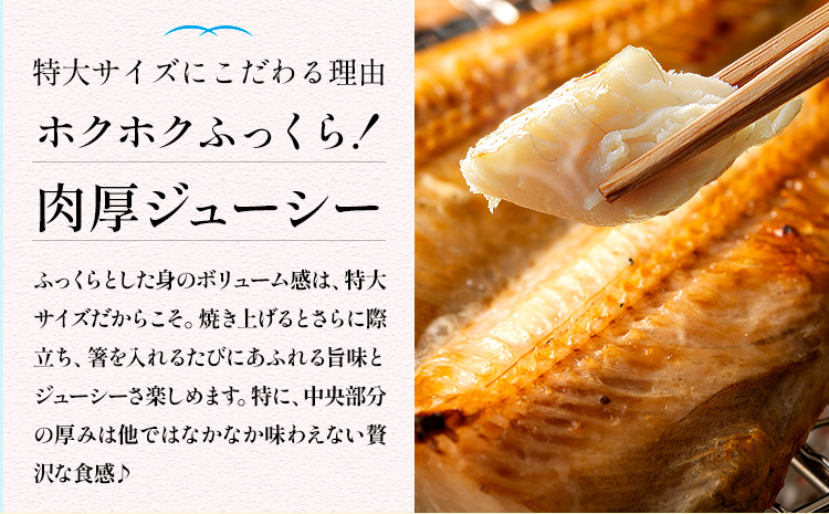 特大 シマホッケ 開き 5枚 約450g 合計 約2.2kg 株式会社西川《90日以内に出荷予定(土日祝除く)》千葉県 勝浦市 特大肉厚 シマホッケ しまほっけ ほっけ 送料無料【配送不可地域あり：離島】---kastuura_nsk_2---