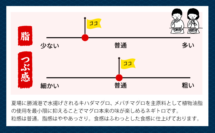 勝浦市 人気 海鮮 お礼品 ネギトロ 250g × 6パック 合計 約1.5kg 株式会社西川《30日以内に出荷予定(土日祝除く)》千葉県 勝浦市 ネギトロ 魚 マグロ 大容量 冷凍 海鮮【配送不可地域：離島】---kastuura_nsk_3---
