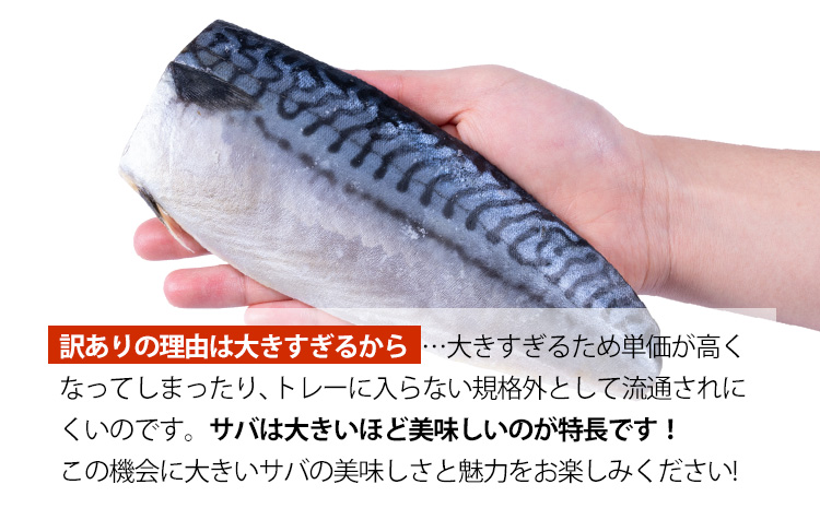 訳あり 塩サバ 3kg 海鮮 無添加《30日以内に出荷予定(土日祝除く)》株式会社西川 千葉県 勝浦市  塩 さば サバ 魚 無添加 鯖 冷凍 塩さば 大容量 魚介 切り身 さかな【配送不可地域：離島】---kastuura_nsk_4---