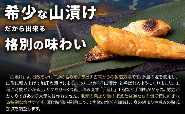 人気アイテム詰め合わせ 骨取り減塩銀鮭切身 1kg + 塩サーモンハラス 400g 合計 約1.4kg 株式会社西川《30日以内に出荷予定(土日祝除く)》千葉県 勝浦市 減塩 銀鮭 切身 骨取り 冷凍 手作り 惣菜【配送不可地域：離島】---kastuura_nsk_8---