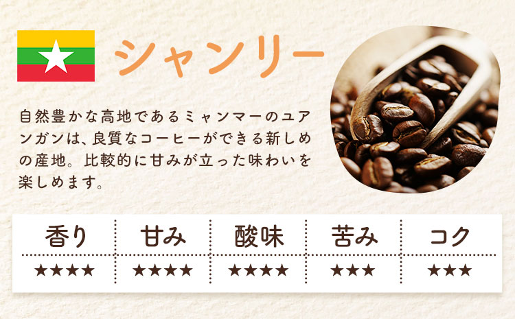 自家焙煎スペシャルティ 珈琲 ドリップバッグ 3種 セット 1箱:ドリップバッグ5個入り AyaHaruCoffee《90日以内に出荷予定(土日祝除く)》千葉県 勝浦市 自家焙煎 珈琲 ドリップバッグ 飲み比べ レッドマウンテン シャンリー ンゴロンゴロ【配送不可地域：離島】---kastuura_ahc_1---