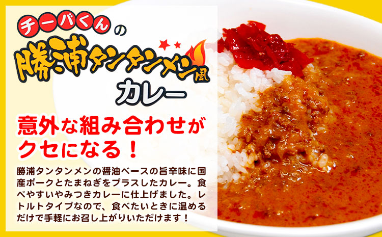 チーバくんの 勝浦 タンタンメン風カレー (180g) 6個セット 一般社団法人勝浦市観光協会《30日以内に出荷予定(土日祝除く)》千葉県 勝浦市 担々麺 カレー ご当地 チーバくん レトルトパウチ レトルト【配送不可地域あり】---kastuura_knko_5---