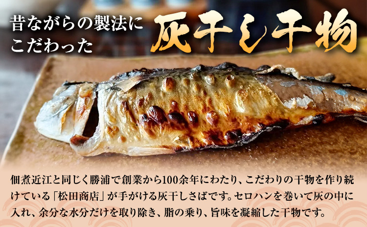 勝浦朝市 昔ながらの製法 逸品の詰合せ「朝市物語」 食塩(新月の煌) 45g×1袋 食塩(満月の刻) 45g×1袋 灰干さば 210g前後×2枚 鰹の佃煮 200g×1袋 まぐろ佃煮 120g×1袋 有限会社 佃煮近江《90日以内に出荷予定(土日祝除く)》【配送不可地域：離島】---kastuura_omi_5---