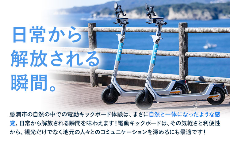 BIRD 電動キックボード 9時間 ライド 無料 ギフトコード 株式会社 Mobilco《90日以内に出荷予定(土日祝除く)》千葉県 勝浦市 電動キックボード 送料無料---kastuura_mobi_2---