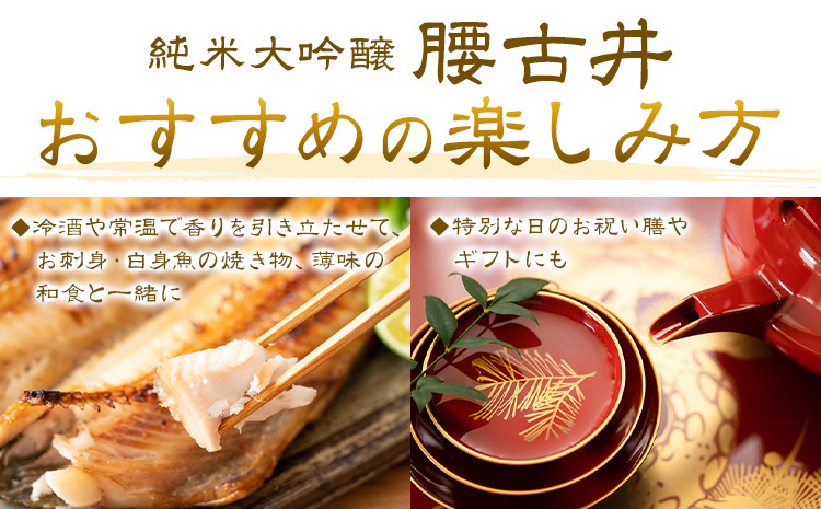 日本酒 腰古井 純米大吟醸 1.8L 1本 有限会社 滝口商店《30日以内に出荷予定(土日祝除く)》千葉県 勝浦市 日本酒 酒 純米 大吟醸---kastuura_tkg_15---