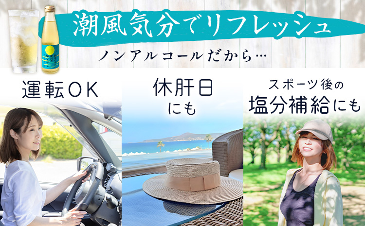 塩ハイボール 24本 勝浦の満月に夢見た塩ハイボール 《30日以内に出荷予定(土日祝除く)》 ノンアルコール アルコールフリー 天然海塩 満月の塩 千葉県 勝浦市 MAXIMUS.WORK 株式会社---kastuura_tbb_7---