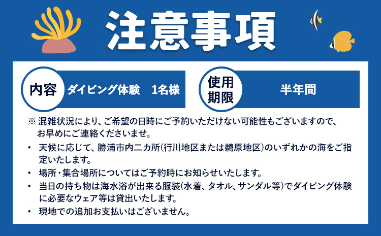体験ダイビングチケット 勝浦ダイビング協会《90日以内に出荷予定(土日祝除く)》体験 ダイビング チケット  アウトドア アクティビティ 海 千葉県 勝浦市---kastuura_divn_1---