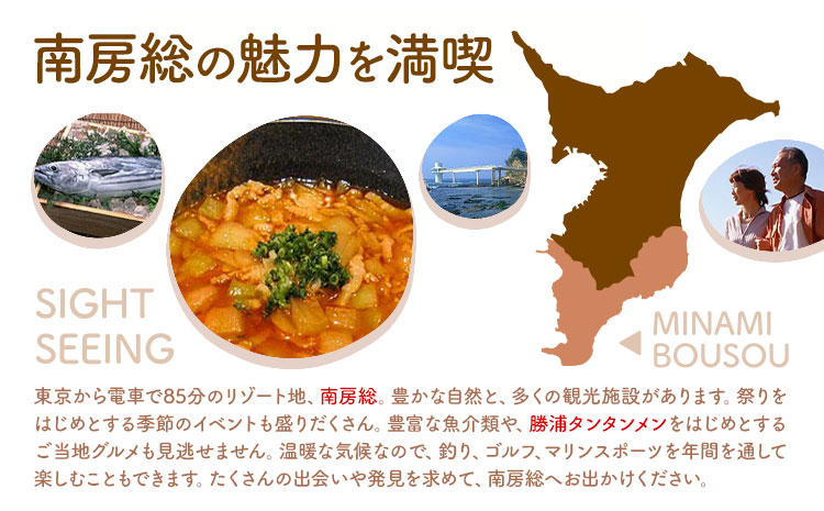 勝浦ヒルトップホテル 宿泊券  食事なし 休前日 1組2名様 勝浦ヒルトップホテル《90日以内に出荷予定(土日祝除く)》千葉県 勝浦市 ホテル 宿泊 宿泊券 チケット 送料無料【配送不可地域：離島】---kastuura_htop_3---