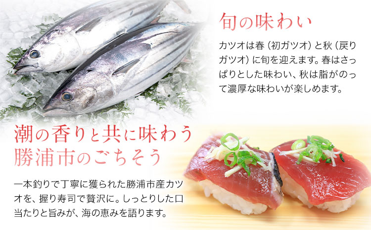 勝浦市産 カツオの握り寿司 4貫《30日以内に出荷予定(土日祝除く)》千葉県 勝浦市 海産物 カツオ 鰹 寿司 すし 魚 海鮮---kastuura_cpfd_2---