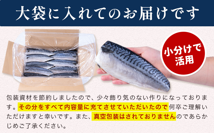 訳あり 塩サバ 3kg 海鮮 無添加《30日以内に出荷予定(土日祝除く)》株式会社西川 千葉県 勝浦市  塩 さば サバ 魚 無添加 鯖 冷凍 塩さば 大容量 魚介 切り身 さかな【配送不可地域：離島】---kastuura_nsk_4---