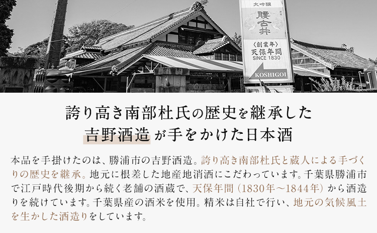 酒 1830年創業　南部杜氏の吉野酒造による 熟成日本酒THE EVOLUTION02【1296037】 《90日以内に出荷予定(土日祝除く)》 株式会社 オニオン新聞社---kastuura_oni_2---