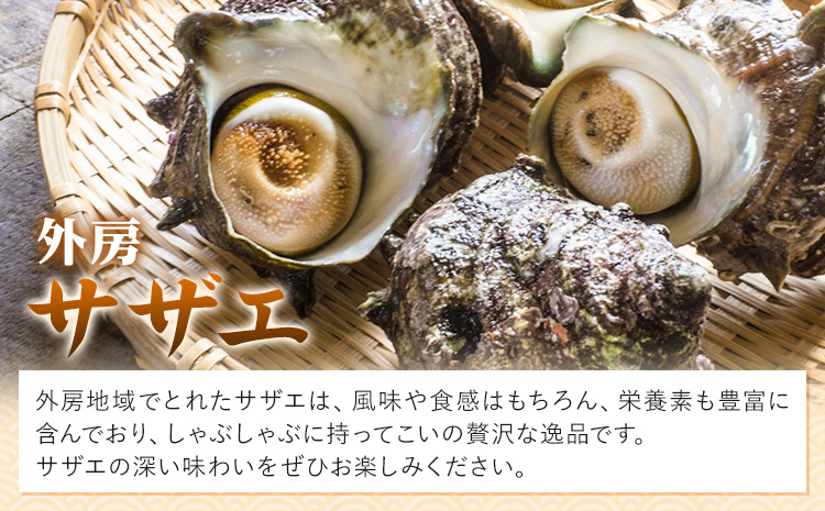 豪華!!外房つりきんめ鯛と外房サザエのしゃぶしゃぶセット 約300g×1p サザエ50g×1p 90日以内に出荷予定(土日祝除く) 株式会社 サラヤ保崎商店【配送不可地域：離島】魚介 しゃぶしゃぶ 鍋 魚 鯛 サザエ---kastuura_sry_3---