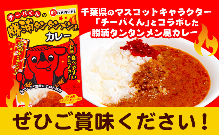 チーバくんの 勝浦 タンタンメン風カレー (180g) 6個セット 一般社団法人勝浦市観光協会《30日以内に出荷予定(土日祝除く)》千葉県 勝浦市 担々麺 カレー ご当地 チーバくん レトルトパウチ レトルト【配送不可地域あり】---kastuura_knko_5---