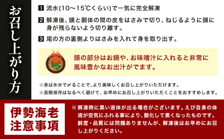 【刺身OK】千葉県勝浦産 生冷活〆 天然伊勢海老 2kg 6-10尾入 株式会社串浜水産《90日以内に出荷予定(土日祝除く)》千葉県 勝浦市 伊勢海老 海老 えび【配送不可地域あり】（離島）---kastuura_kshm_5---