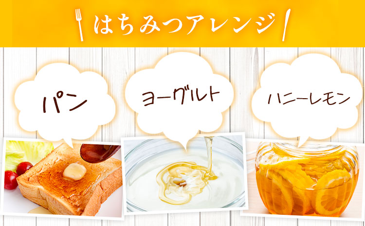 勝浦産 非加熱の 生ハチミツ 200g《30日以内に出荷予定(土日祝除く)》千葉県 勝浦市 はちみつ 蜂蜜 生ハチミツ 非加熱 百花蜜---kastuura_nbs_3---