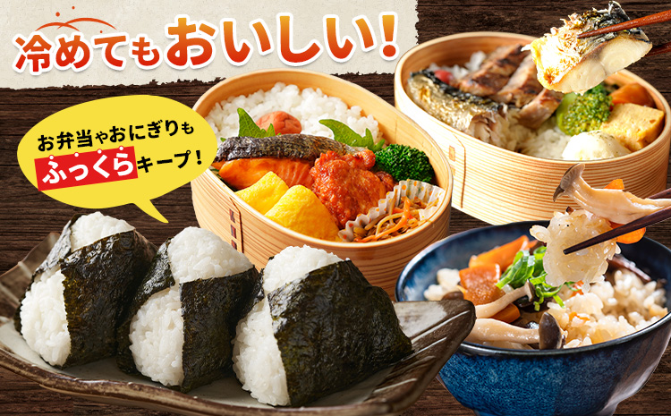 【2ヶ月定期便】千葉ふるさと米 20kg《申込月の翌月より出荷開始》米 ブレンド米---kastuura_lcl_214_tei---