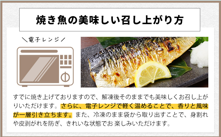 焼き魚セット 5種10枚 株式会社鈴八フーズ 《30日以内に出荷予定(土日祝除く)》【配送不可地域：離島】さけの塩焼き さばの塩焼き 赤魚の粕漬け焼き さけの西京焼き 鰆の西京焼き---kastuura_szh_5---