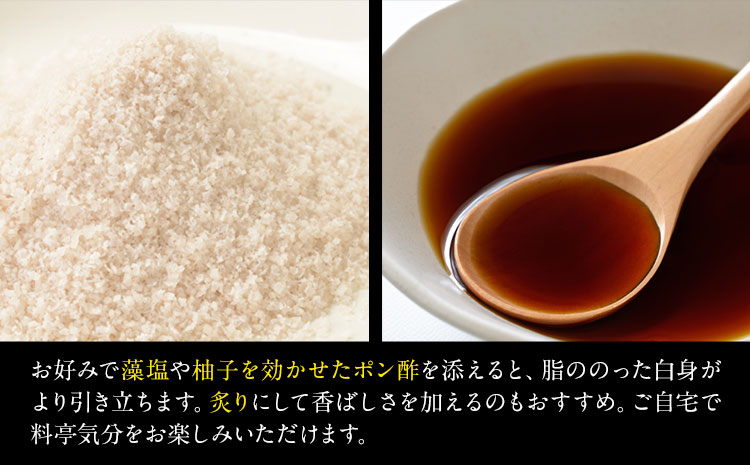 勝浦市産 釣り金目鯛刺身 100g《30日以内に出荷予定(土日祝除く)》千葉県 勝浦市 海産物 刺身 鯛 金目鯛 魚 海鮮---kastuura_cpfd_10---