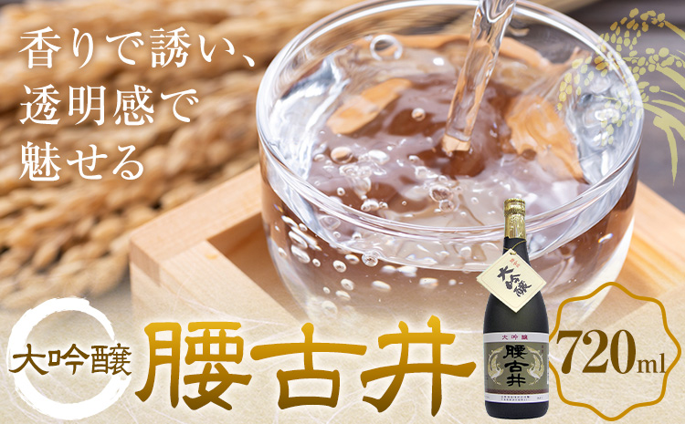 腰古井 大吟醸 720ml 1本 有限会社 滝口商店《30日以内に出荷予定(土日祝除く)》千葉県 勝浦市 日本酒 酒 大吟醸---kastuura_tkg_16---