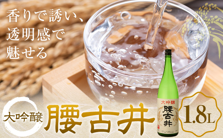 腰古井 大吟醸 1.8L 1本 有限会社 滝口商店《30日以内に出荷予定(土日祝除く)》千葉県 勝浦市 日本酒 酒 大吟醸---kastuura_tkg_14---