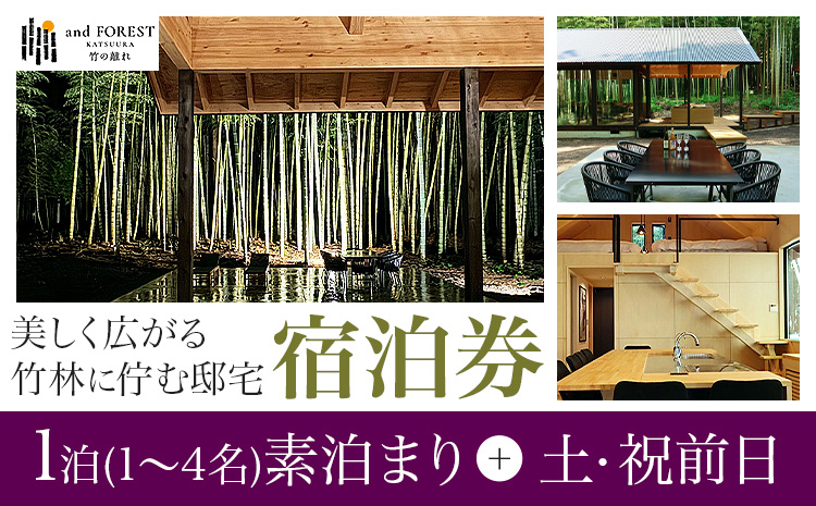 and FOREST勝浦 竹の離れ 宿泊券 1~4名 1泊 素泊まり 土・祝前日 株式会社タスマニアンプロジェクト《30日以内に出荷予定(土日祝除く)》千葉県 勝浦市 宿泊券 サウナ付き---kastuura_tp_8---