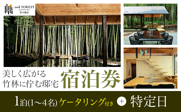 and FOREST勝浦 竹の離れ 宿泊券 1~4名 1泊 ケータリング付き 特定日 株式会社タスマニアンプロジェクト《30日以内に出荷予定(土日祝除く)》千葉県 勝浦市 宿泊券 サウナ付き---kastuura_tp_12---