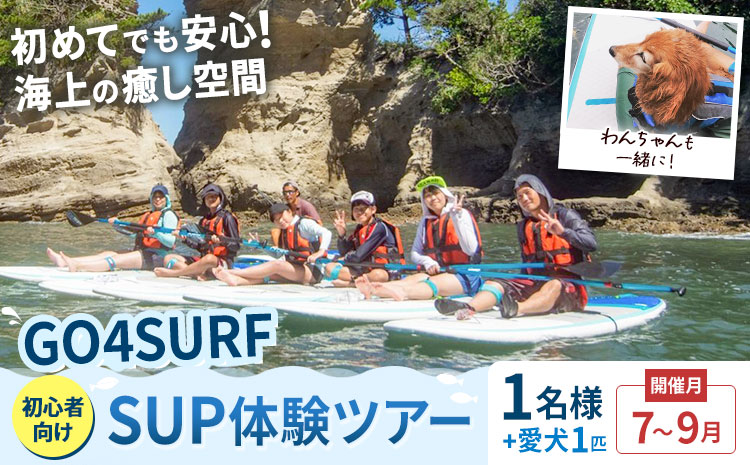 初心者向けSUP体験ツアー 1名様＋愛犬1匹 7-9月 GO4SURF《30日以内に出荷予定(土日祝除く)》千葉県 勝浦市 マリンアクティビティ体験 マリンスポーツ 海 SUP サップ 愛犬 わんちゃん 初心者向け 初心者 体験 6歳から可能---kastuura_g4s_4---