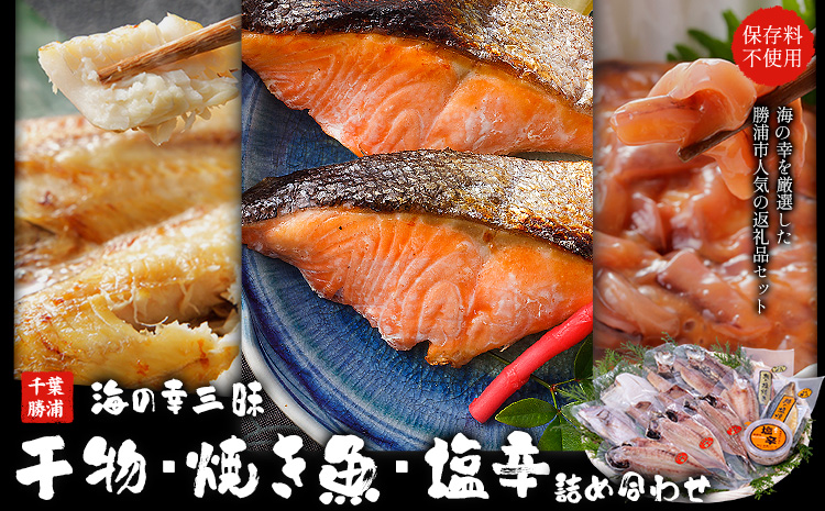 干物・焼魚・塩辛セット 4~6種10枚 株式会社鈴八フーズ 《30日以内に出荷予定(土日祝除く)》【配送不可地域：離島】塩辛100gさばの塩焼き さけの塩焼き 干物 アジ カレイ 金目鯛 イカ ホッケ 鯛 さば 赤魚 さんま エボ 鯛 カサゴ カマス---kastuura_szh_1---