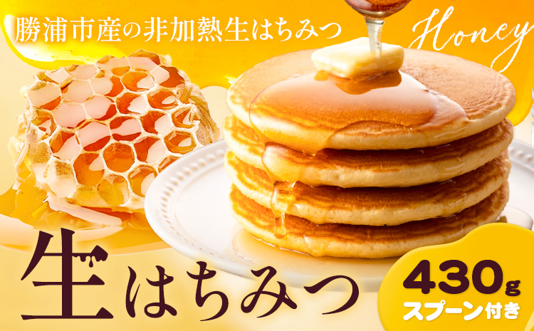 勝浦産 非加熱の 生ハチミツ(430g) ハチミツスプーン付き《90日以内に出荷予定(土日祝除く)》千葉県 勝浦市 はちみつ 蜂蜜 生ハチミツ 非加熱 百花蜜---kastuura_nbs_1---