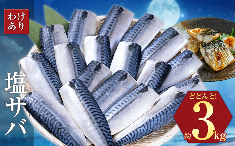 訳あり 塩サバ 3kg 海鮮 無添加《30日以内に出荷予定(土日祝除く)》株式会社西川 千葉県 勝浦市  塩 さば サバ 魚 無添加 鯖 冷凍 塩さば 大容量 魚介 切り身 さかな【配送不可地域：離島】---kastuura_nsk_4---