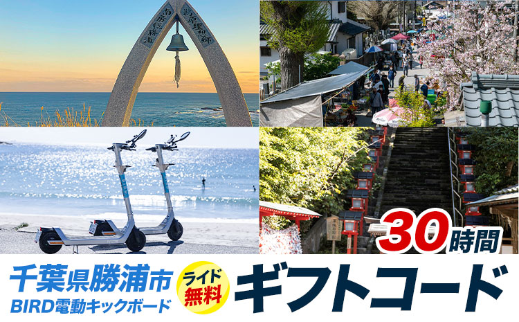 BIRD 電動キックボード 30時間 ライド 無料 ギフトコード 株式会社 Mobilco《90日以内に出荷予定(土日祝除く)》千葉県 勝浦市 電動キックボード 送料無料---kastuura_mobi_4---