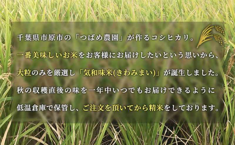 令和6年産　新米「気和味米」千葉県産コシヒカリ 10kg (5kg×2袋)　白米