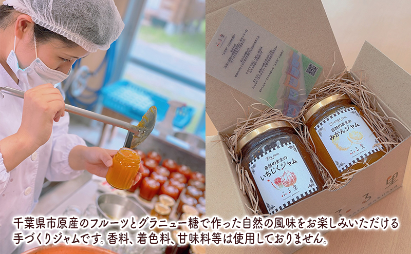 ジャム 季節のジャム2本セット 手作り フルーツ くだもの セット 千葉県 いちじく みかん 梨 プラム ブルーベリー パン ヨーグルト