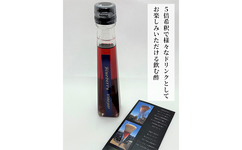 ブルーベリービネガー＆ブルーベリーのはちみつ漬（2個）セット