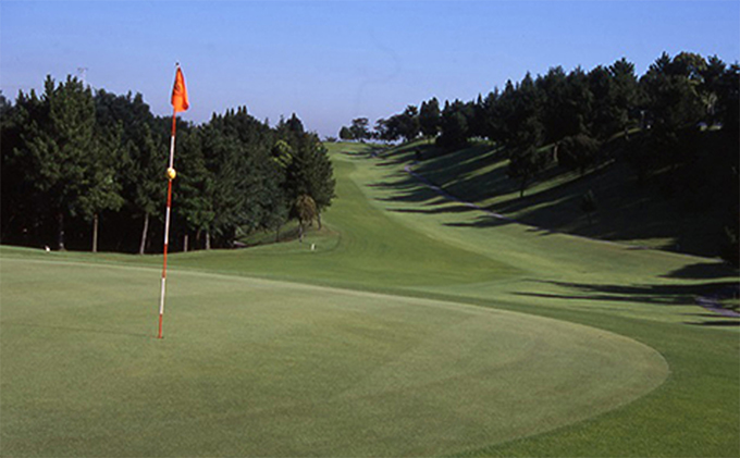 ゴルフ場 千葉 千葉セントラルゴルフクラブ 1名様 平日プレー招待券 ゴルフ 関東 チケット ゴルフ場利用券 プレー券 施設利用券